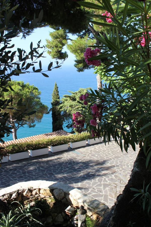 Claro De Lua Circeo B&B San Felice Circeo Exterior foto